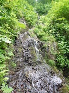 c0359615_21460412.jpg
