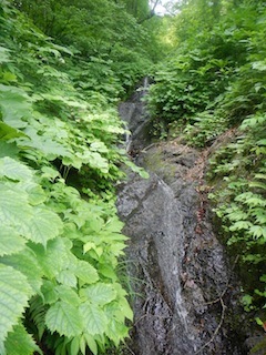 c0359615_21462093.jpg