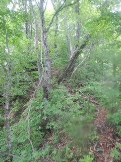 c0359615_21463306.jpg