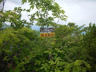 c0359615_21464932.jpg