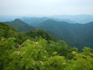 c0359615_21470414.jpg
