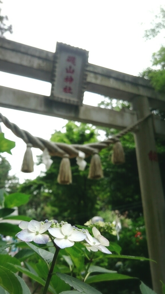 d0262916_08082023.jpg