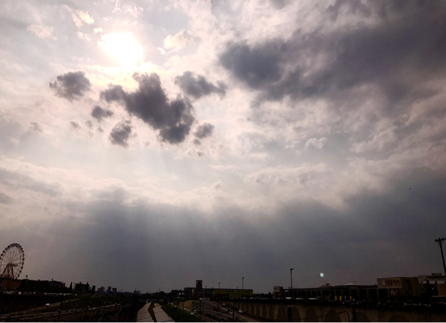 a0233917_663114.jpg