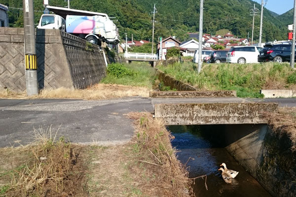 c0213817_15453847.jpg