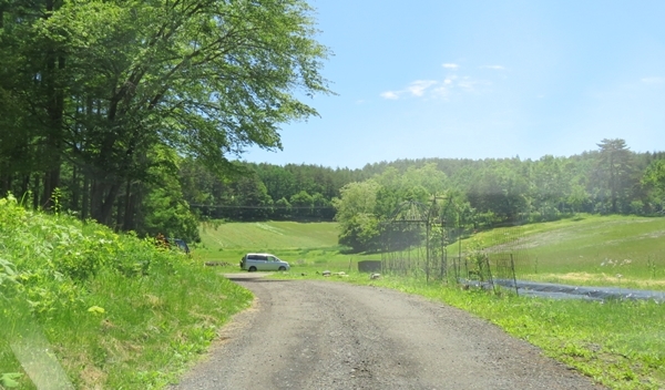 c0013922_16520038.jpg