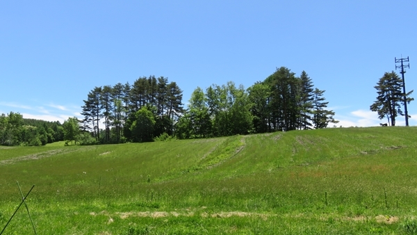 c0013922_16543109.jpg