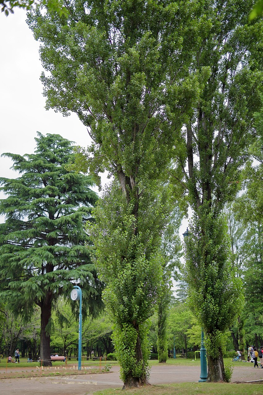d0342426_22313188.jpg