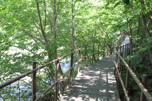 a0163227_13330061.jpg