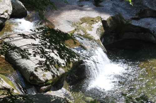 a0163227_13330633.jpg