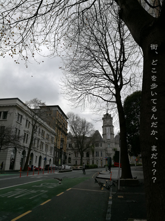 d0042827_18362670.jpg