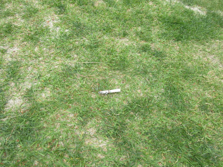 c0117936_20435146.jpg