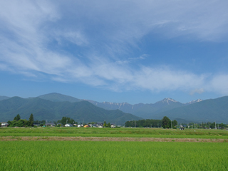 a0014840_23355581.jpg
