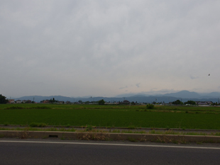 a0014840_857650.jpg