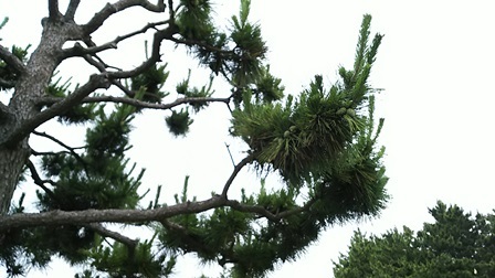 b0080342_21543664.jpg