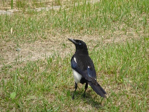 b0282042_16251384.jpg