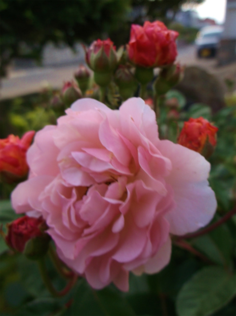 c0006745_06450000.jpg