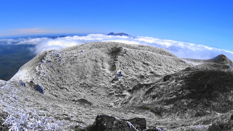 e0321848_21421619.jpg