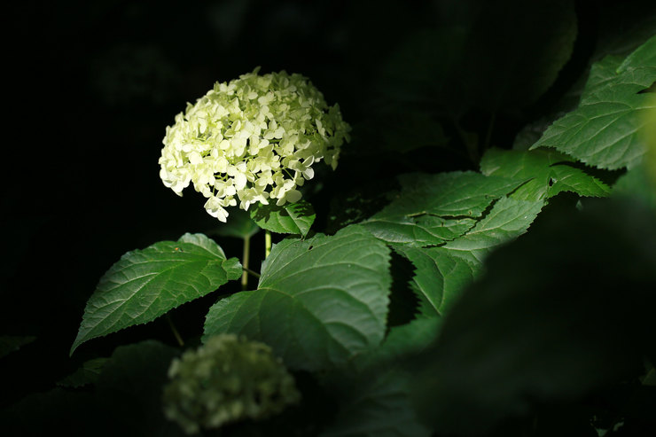 a0120949_6201991.jpg