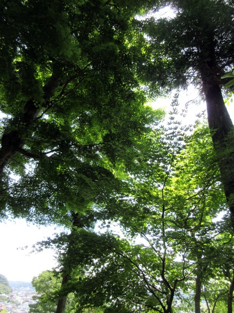 b0009849_1932395.jpg