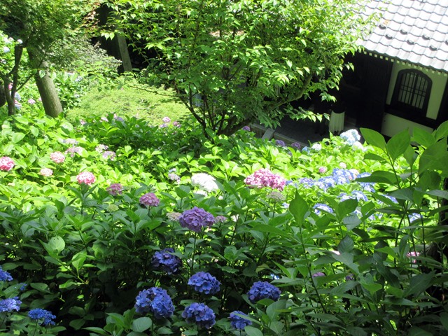 b0009849_19333999.jpg