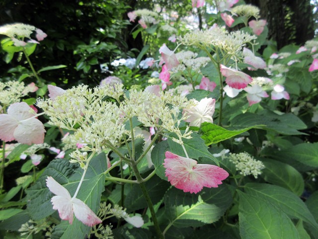 b0009849_19365514.jpg
