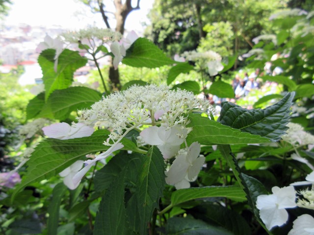 b0009849_19383774.jpg