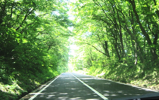 b0289649_8573827.jpg