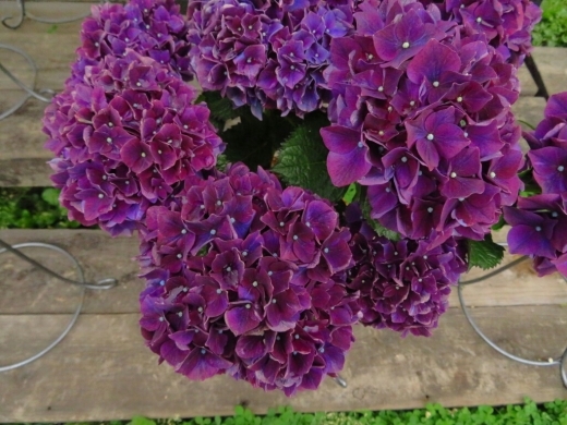 a0018655_14311433.jpg