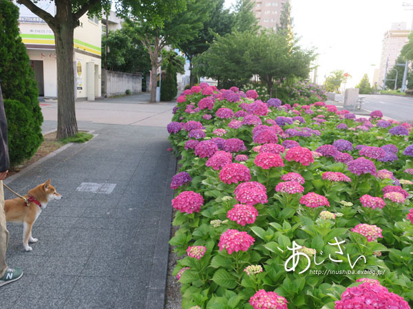 a0286855_06210339.jpg