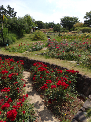 d0218056_8282297.jpg
