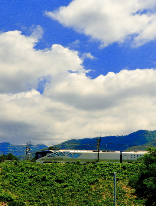 a0150260_13560828.jpg