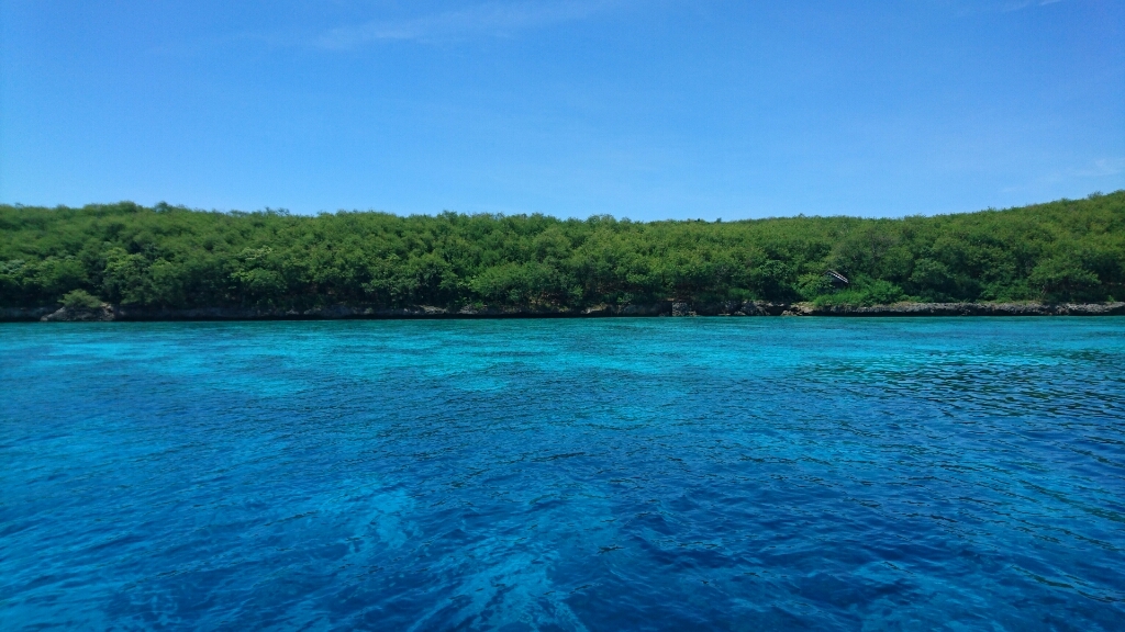e0361460_21000867.jpg