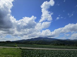 d0045362_09593032.jpg