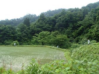 b0079965_04464895.jpg