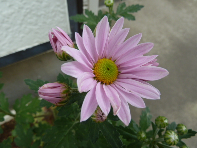 e0278968_23182323.jpg