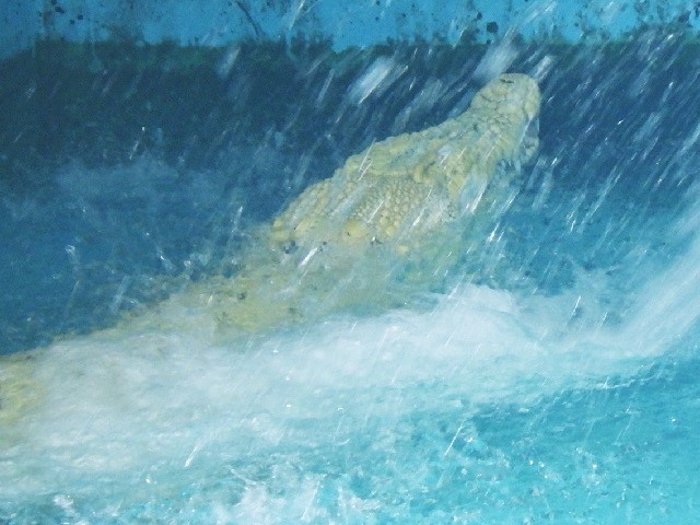 c0105569_01425007.jpg