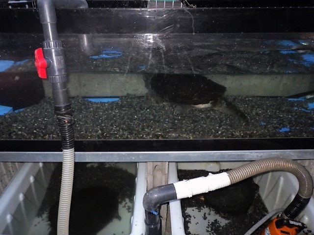 c0105569_01425980.jpg