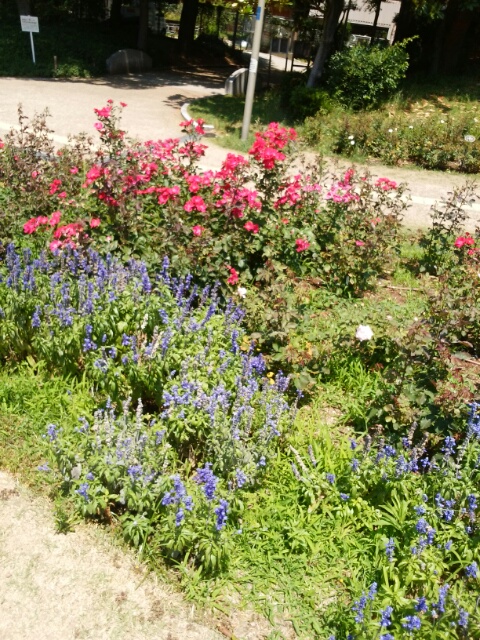 f0200871_1714572.jpg