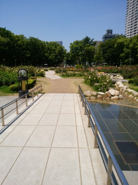 f0200871_1714577.jpg
