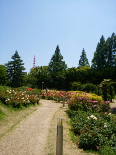 f0200871_1714579.jpg