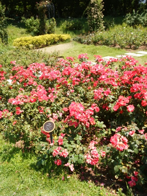 f0200871_1714631.jpg