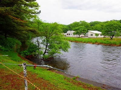 b0052375_17311806.jpg