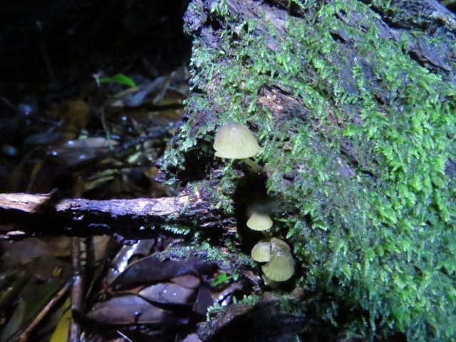 b0317680_18345149.jpg