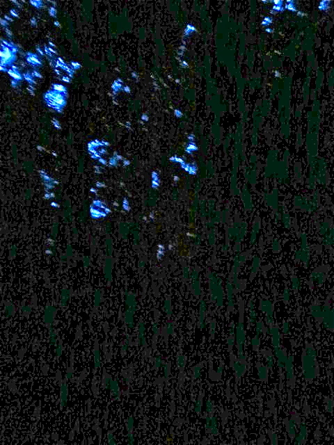 b0317680_18352571.jpg