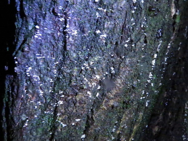 b0317680_18410437.jpg