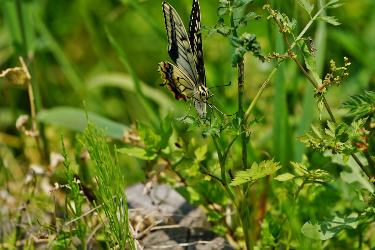 a0083081_11534360.jpg