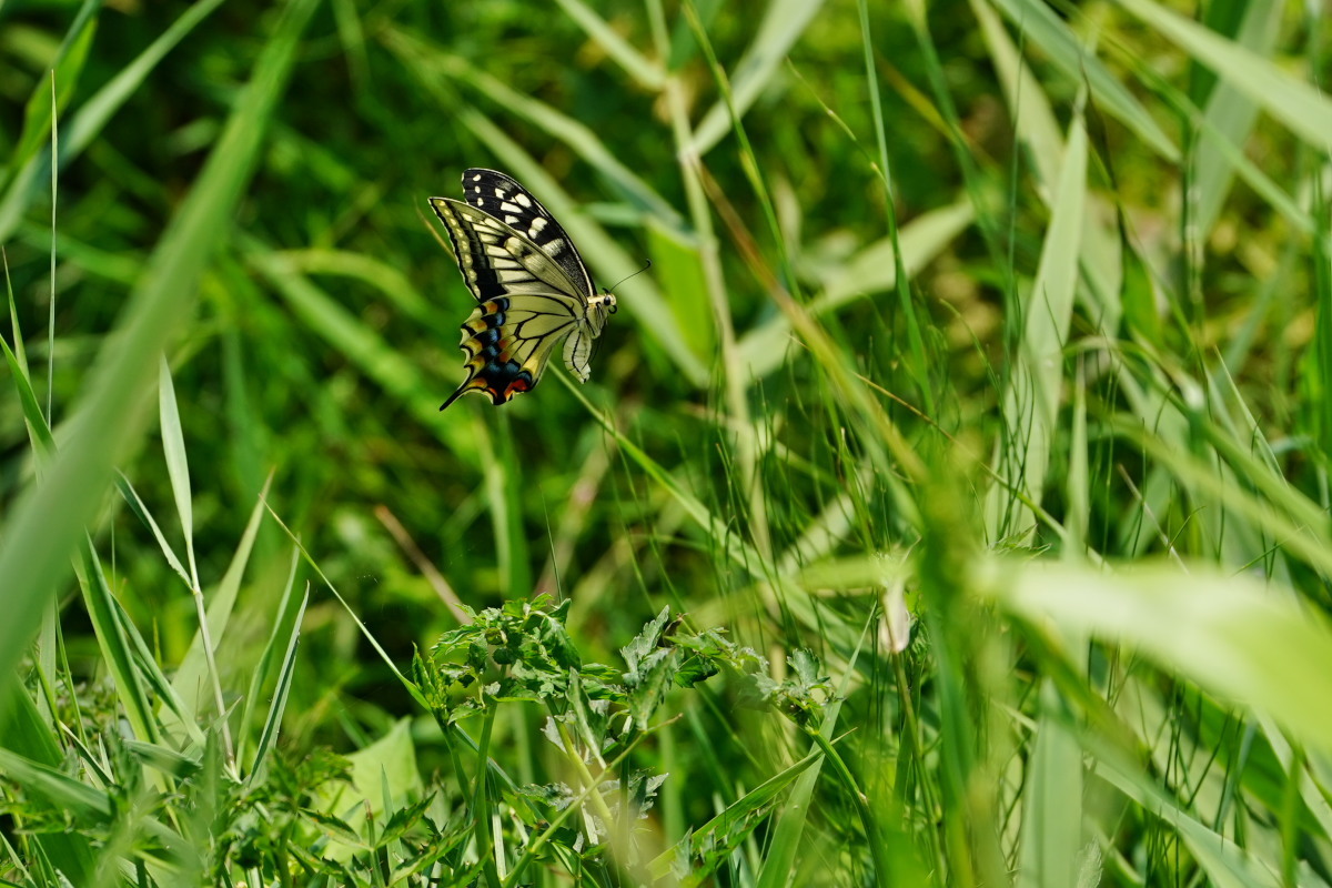 a0083081_11542012.jpg