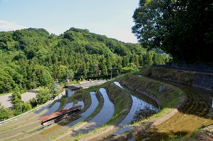 c0229483_821352.jpg