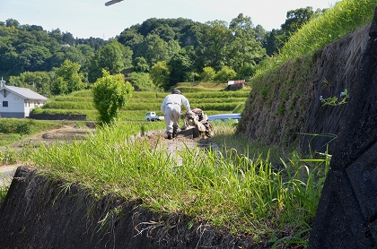 c0229483_8243192.jpg