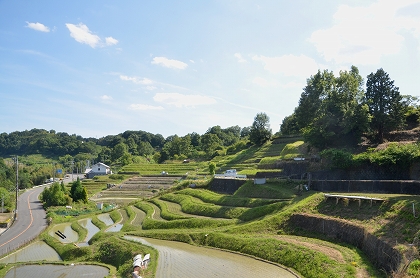 c0229483_824885.jpg
